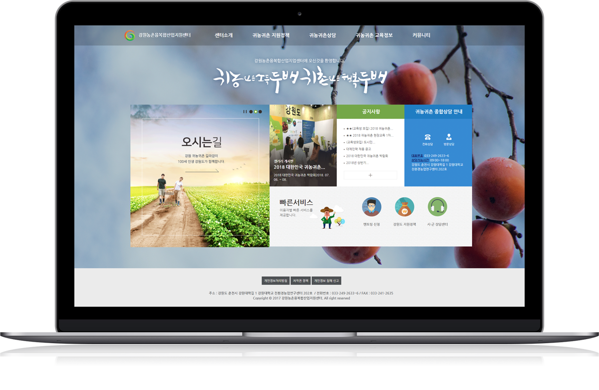 스프링웍스 포트폴리오